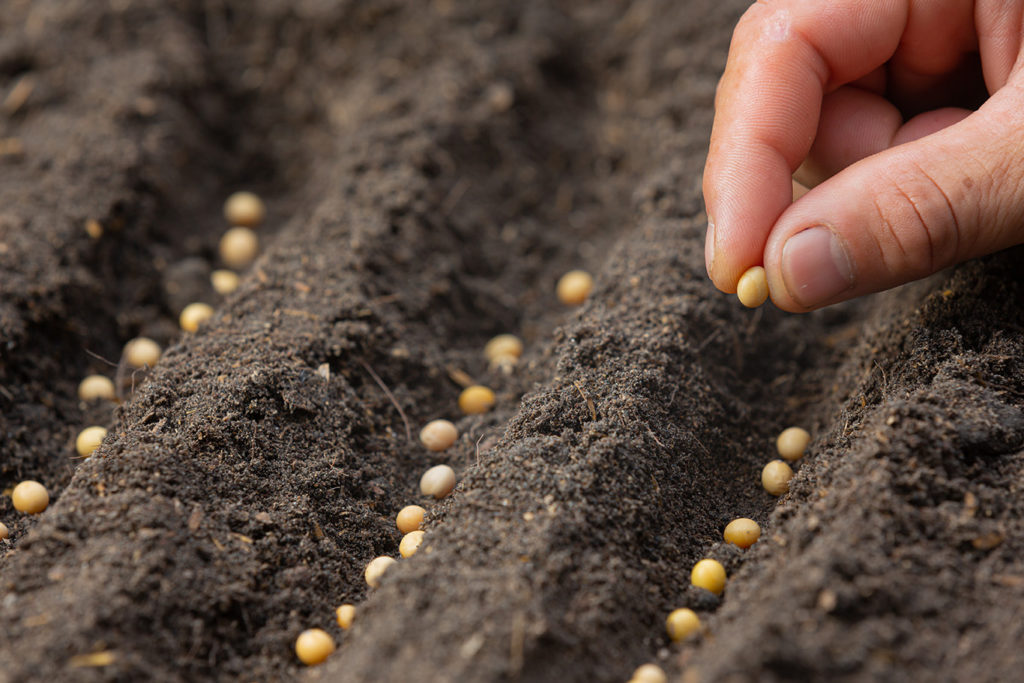 Seed Spreading