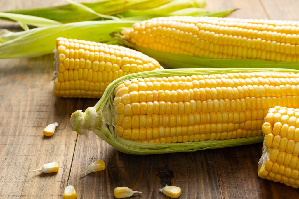 Grayslake Feed-Decorative Corn vs Feed Corn (adjusted)