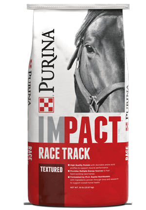 IMPACT_Race_Front