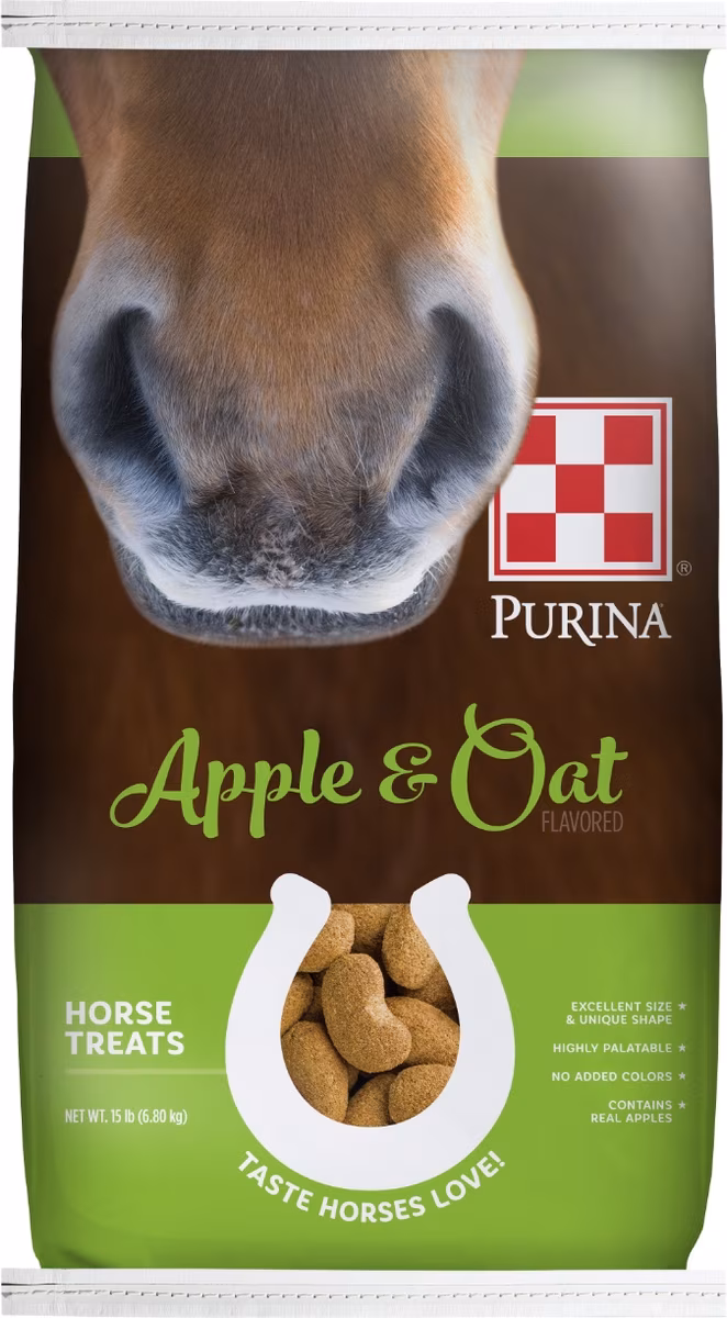 apple oat horse treats