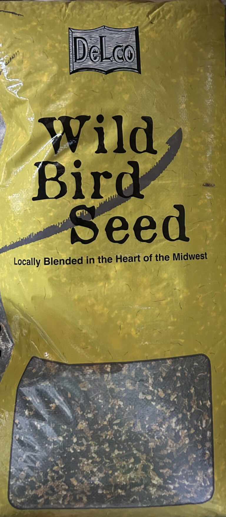 bestbuybird