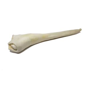 Home Range Full Length Bull Tail Dog Treat (EACH)
