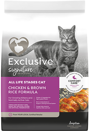 exclusive cat
