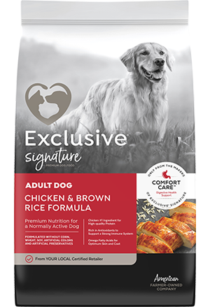 exclusive chicken and rice