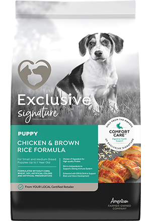 exclusive puppy