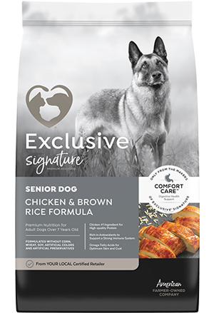 exclusive senior