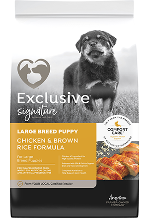 exlusive lg puppy