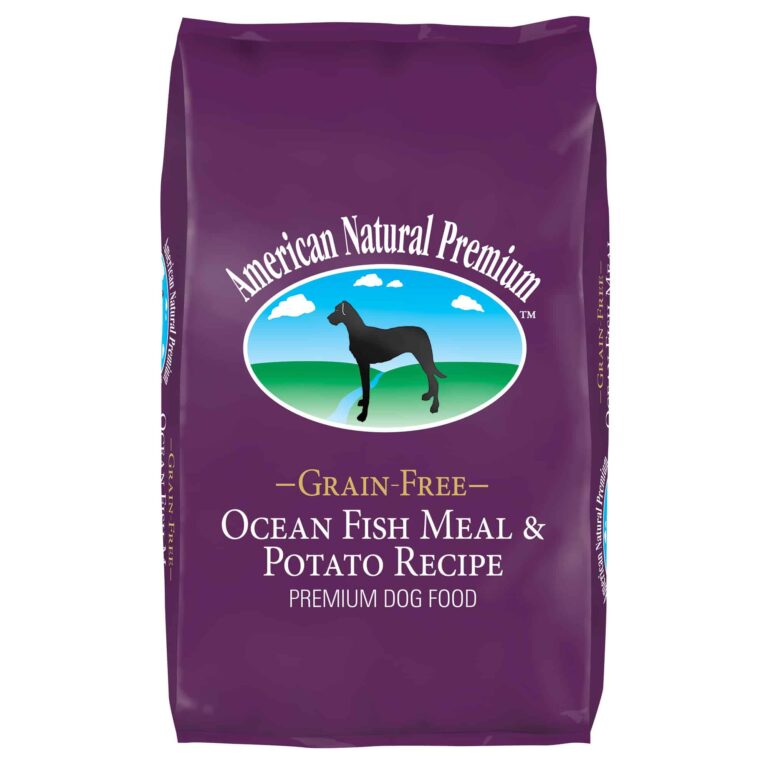 ocean-fish_front