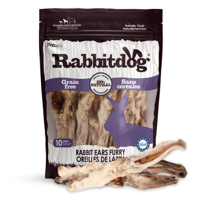 rabbitdog rabbit ears furry