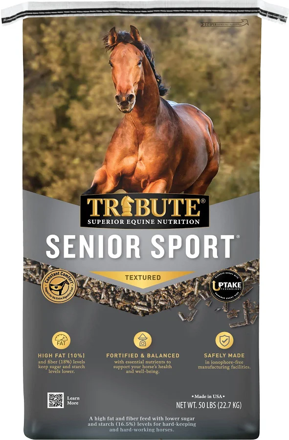 senior sport
