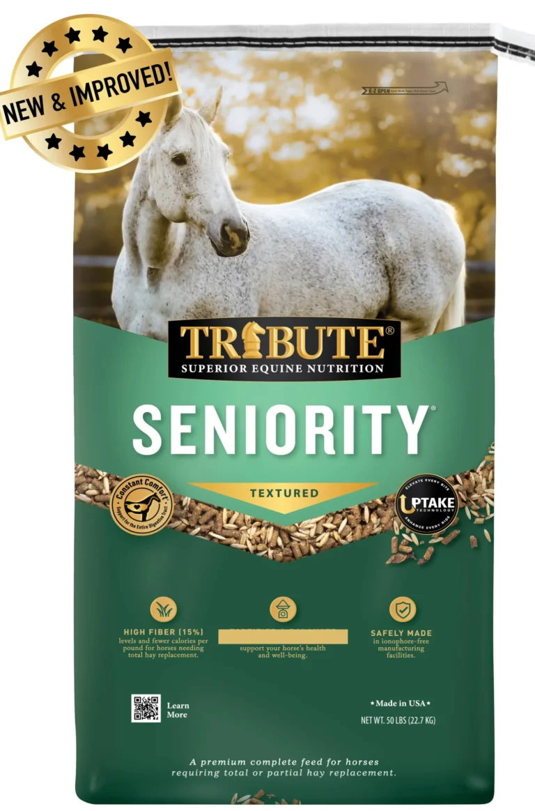 seniority text