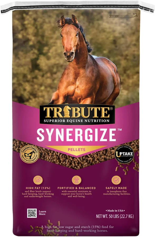 synergize
