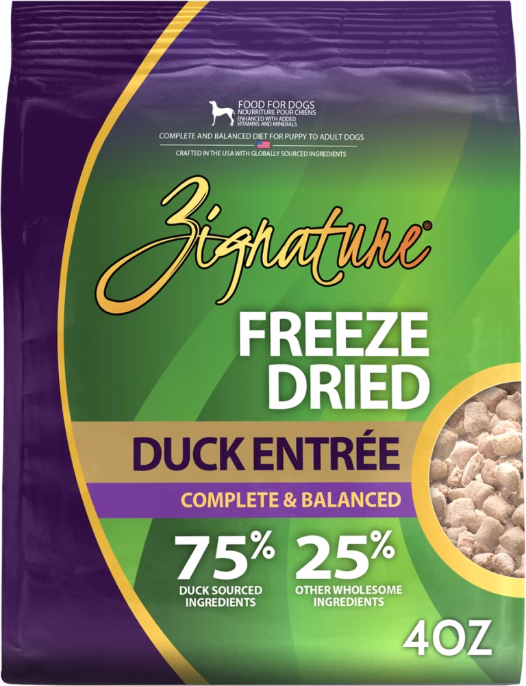 zig fd duck 4oz